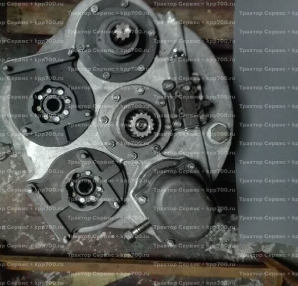 IMG_20160718_083946-1